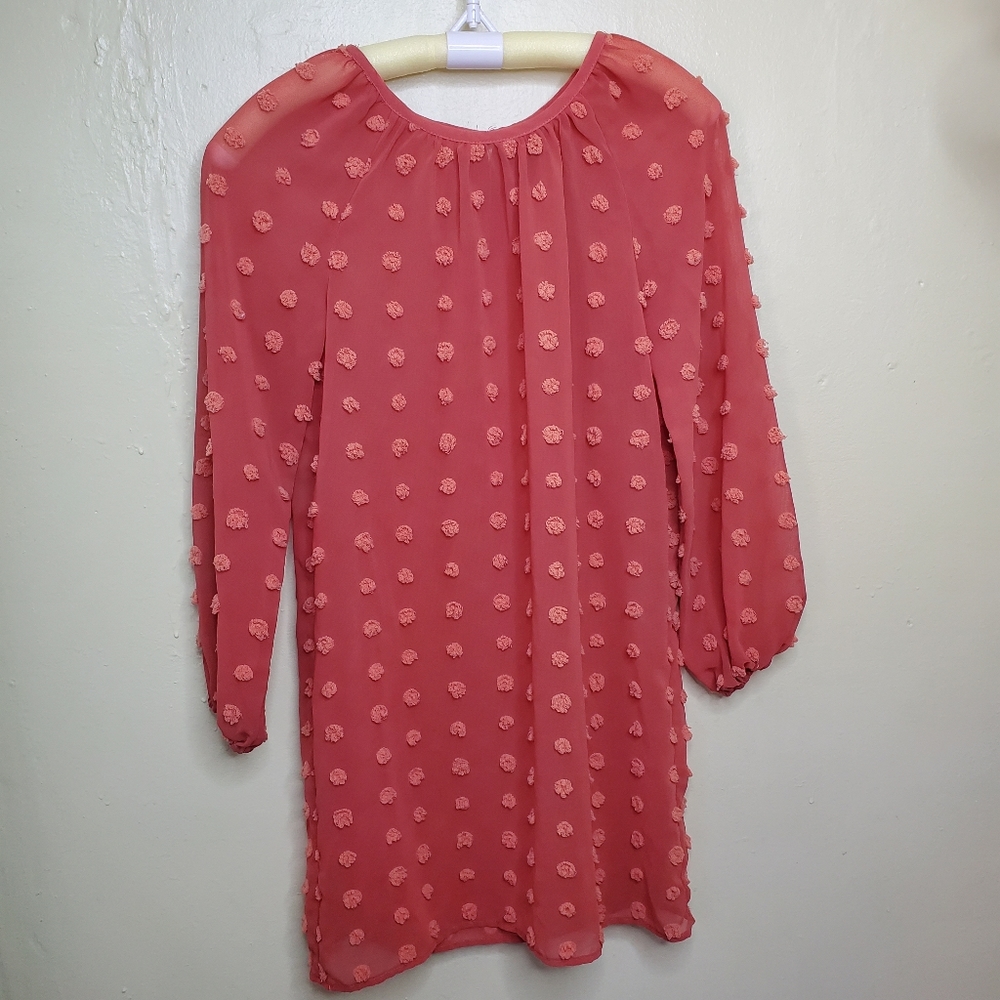Sheer mini dress size large